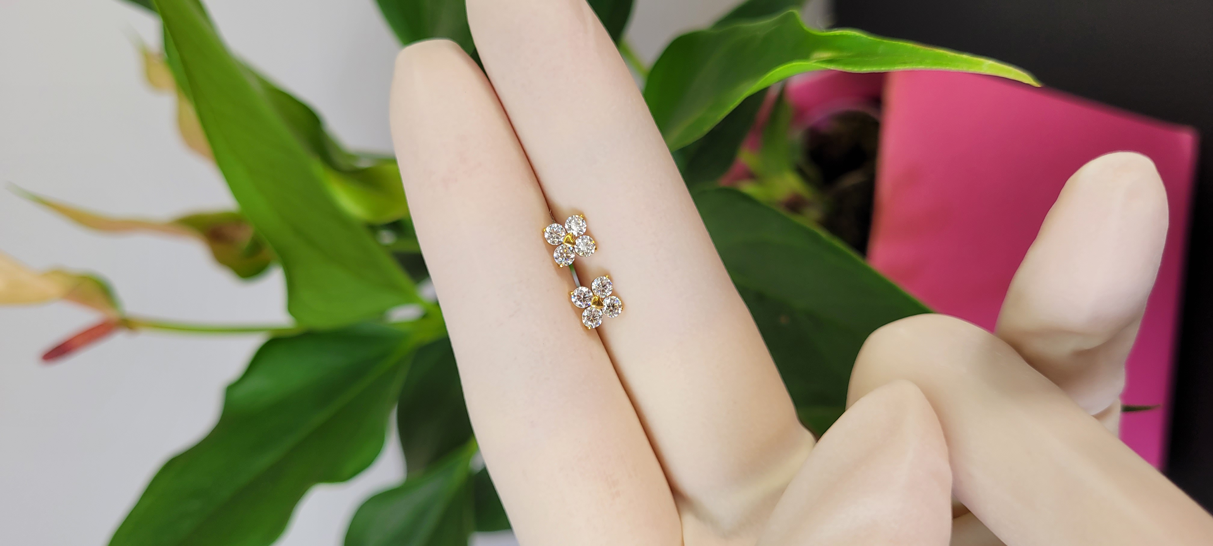 Brincos em titânio PVD Gold