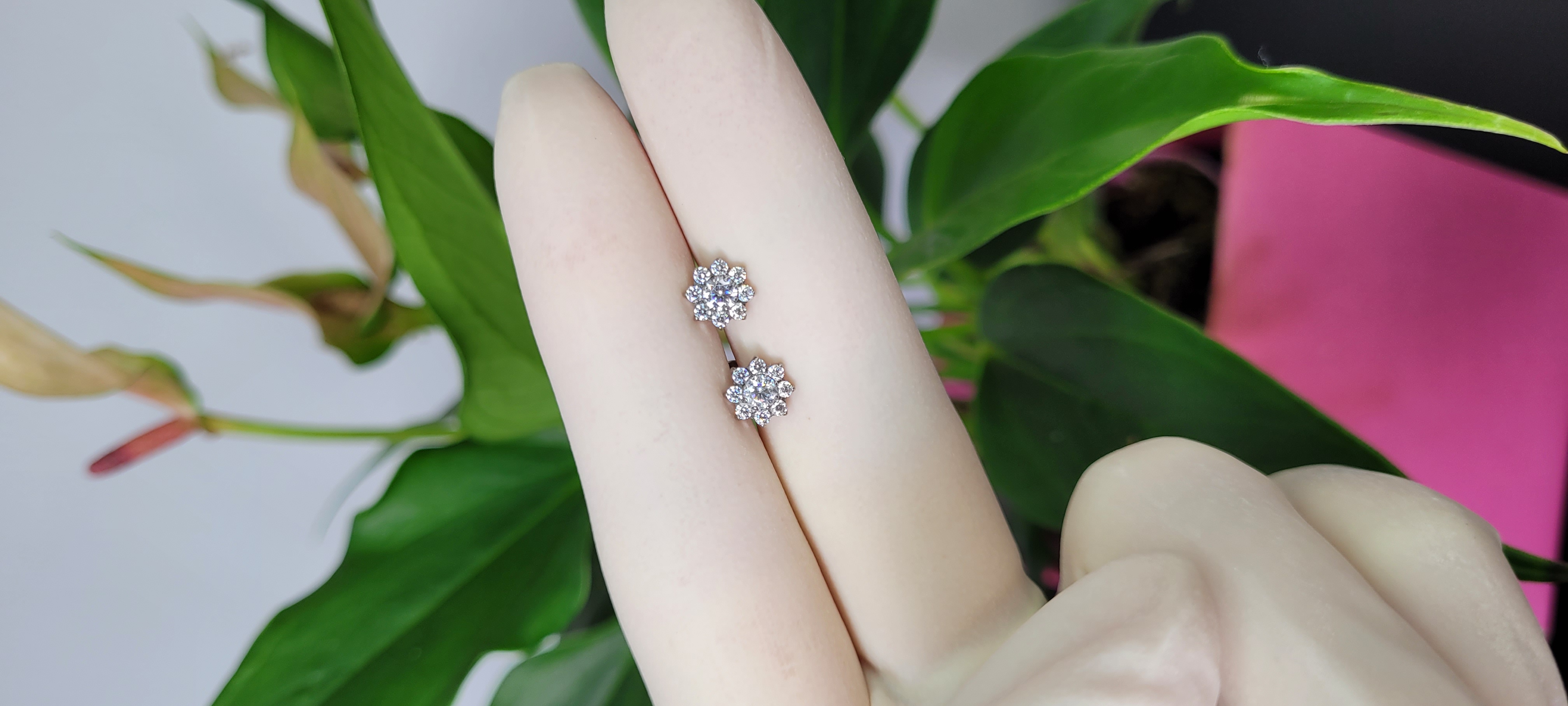 Brincos em titânio prateado